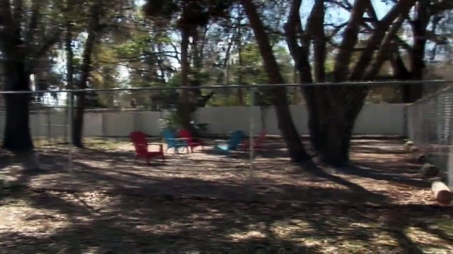 Humane Society of the Nature Coast - Tour our shelter