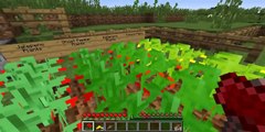 Minecraft: BURNING HOT PEPPERS CONTEST (SPICY PEPPERS & EXPLOSIVE WEAPONS!) Cust  - Faster - HD