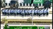 Pakistan Airforce and Navy planes flypast during Pakistan Day 2015