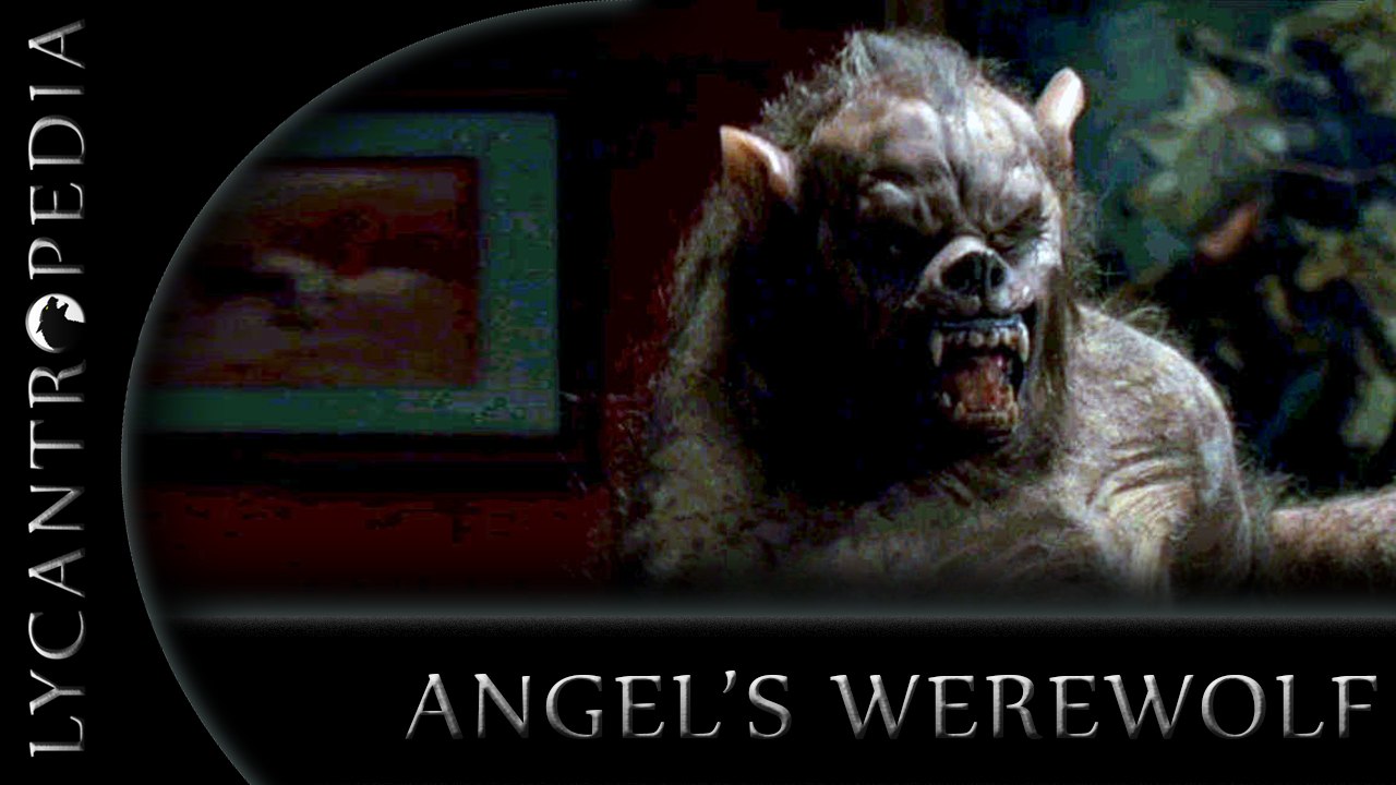 Angel's Werewolf