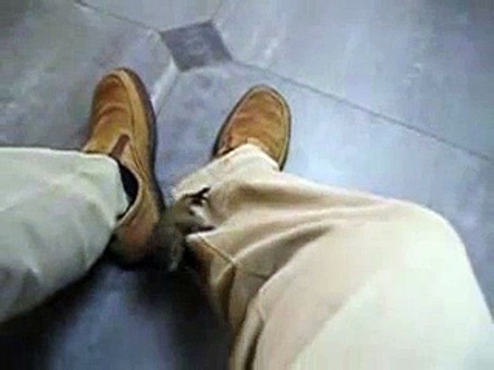 松鼠暴走