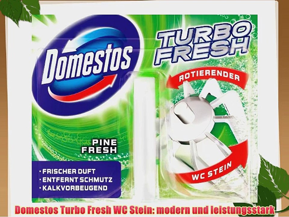 Domestos Turbo Fresh rotierender WC Stein Pine 9 x 1 St?ck