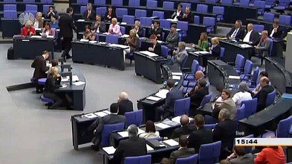 Dirk Niebel und sein Fliegender Teppich im Bundestag