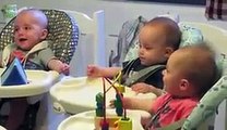 Funny Triplet Babies Laughing Videos