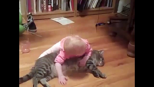 Laugh - Animali e bambini Video divertente di Bambini, cani, gatti