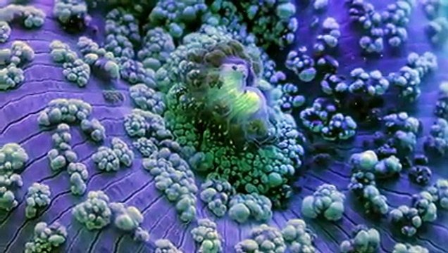 Individually we are one drop, but together we are an ocean.