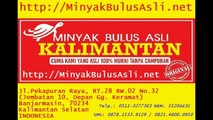 0821-4800-0950 (Telkomsel) Bulus Putih, Kegunaan Minyak Bulus, Efek Minyak Bulus