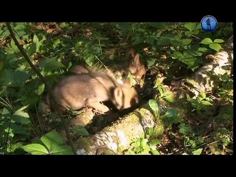 Тимофей Баженов - Легко ли быть молодым