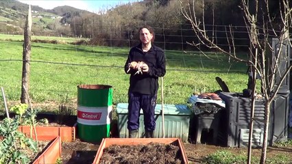 Como Sembrar Cebolla Para Semilla || Cultivo Organico || La Huertina De Toni