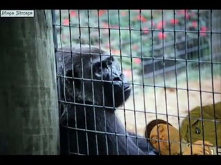 Artie Lange's Photoshop Montage