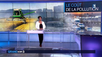 La pollution coûte 100 milliards d'euros à la France chaque année