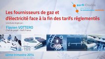 Xerfi France, Les fournisseurs de gaz et d'électricité face à la fin des tarifs réglementés