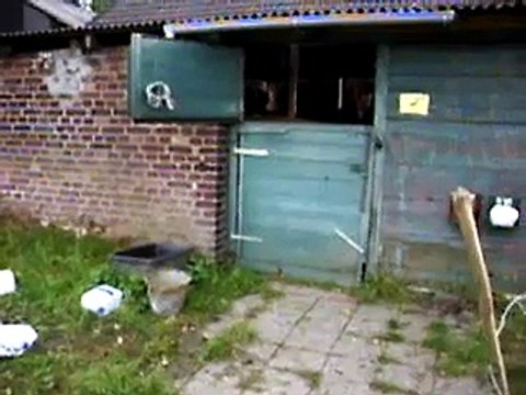 Unsere Ziegen und Schafe haben Hunger!