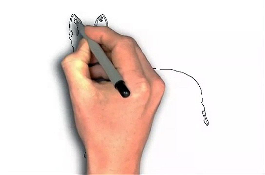 How To Draw Dogs