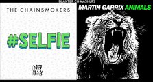 Martin Garrix & The Chainsmokers - animals in the #SELFIE (mashup instrumental)