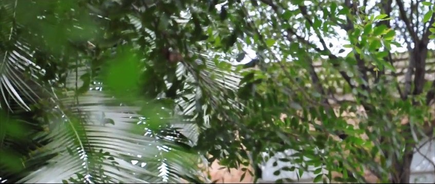 Você já pensou passar o Dia das Mães sem a sua Mãe?