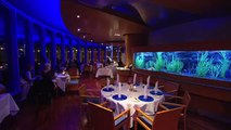 Restaurant Marina, Jumeirah Beach Hotel