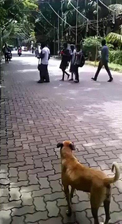 Stunt resulted in accident