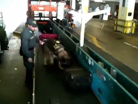 Gli agenti speciali della Guardia di Finanza