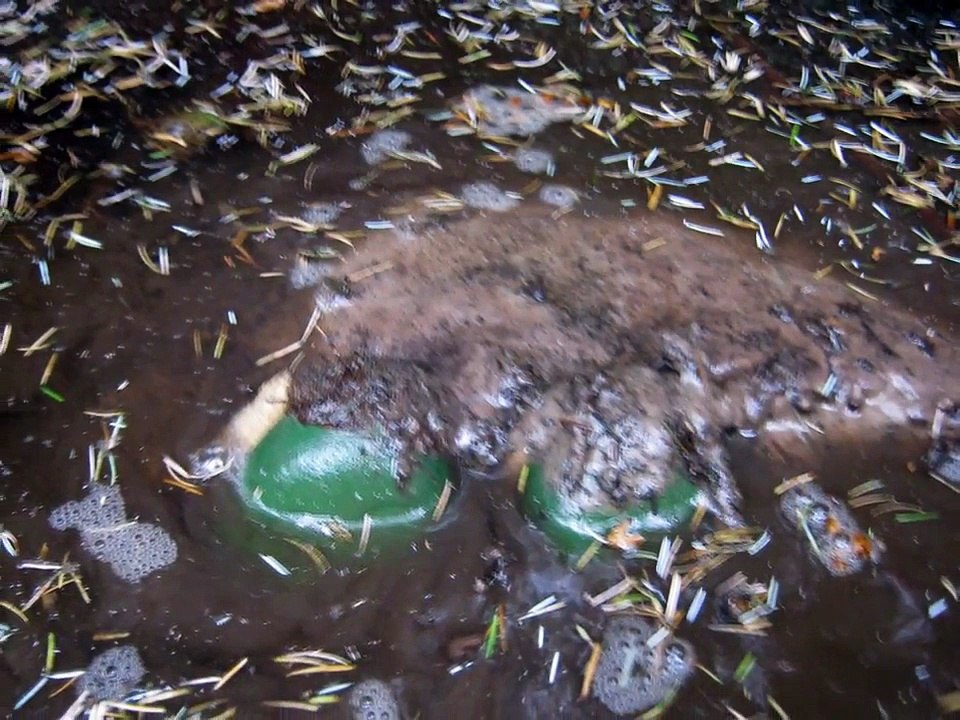 Streamfisher waders getting muddy and flooded