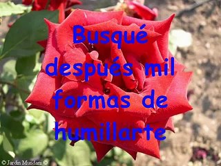 Angel López - Entre el amor y el odio