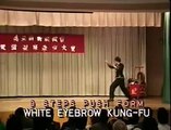 Kung Fu Masters - Ying Yee Kwoon, Fu Jow Pai & more -1988