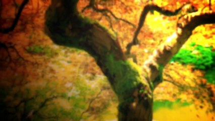 Acrylic Printing Service In Las Vegas Only At Nevadaartprinters.com