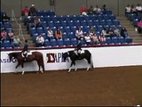 Art Show APHA/AQHA World Champion for sale or lease