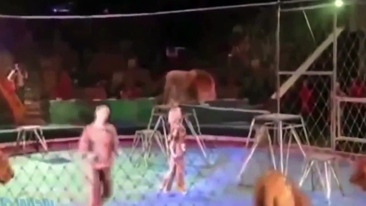 NO 1 World Top most Animal Attack with Human