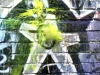 Joey Lawrence - Nothing My Love Can't Fix