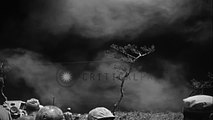 A US Marine fires at and drags a Japanese soldier in Okinawa, Japan during World ...HD Stock Footage