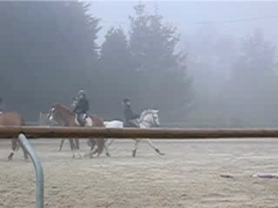 Rênes beaucoup trop longues