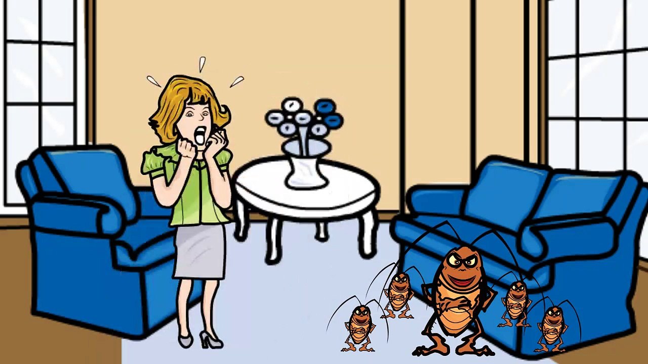 Largo Pest Control Services by Custom Pest Management