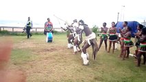 Traditional Zulu Dancers Durban, Kwa Zulu Natal, South Africa