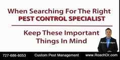 Largo Pest Control Termite Inspections in Pinellas County Florida