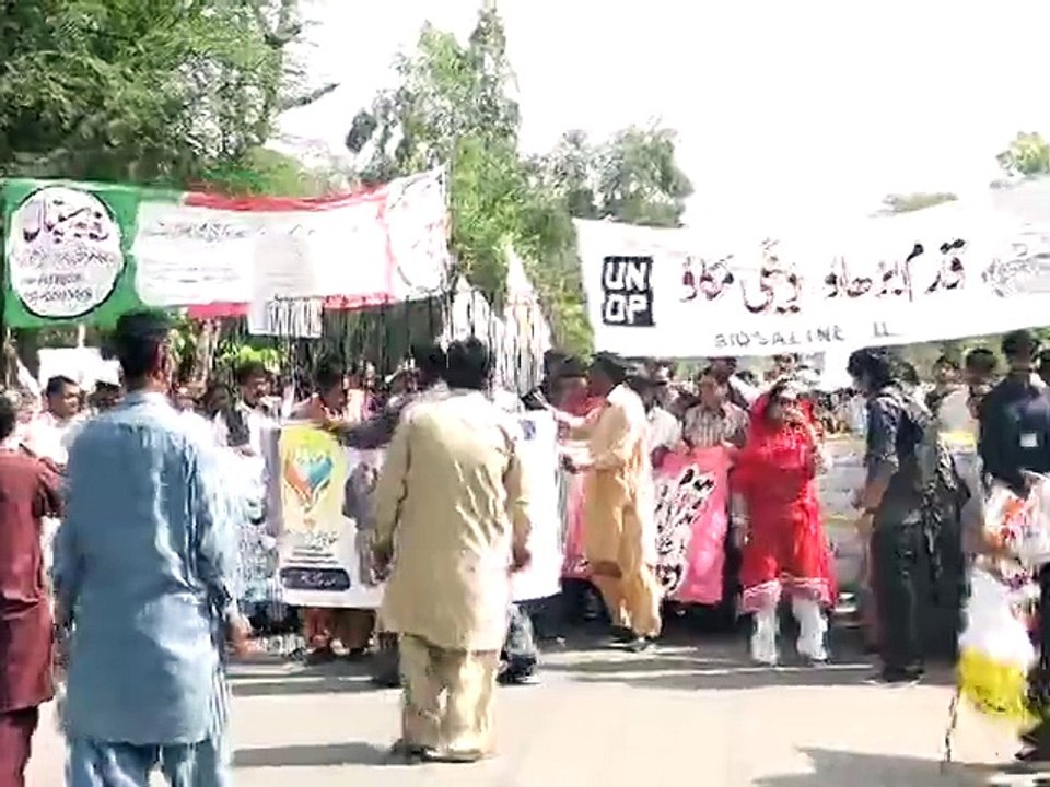 dangi (2)
