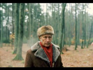 The resistance of the Waldgänger -- A tribute to Ernst Jünger