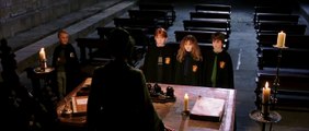 Harry Potter und ein Stein Teil 8 - High Definition