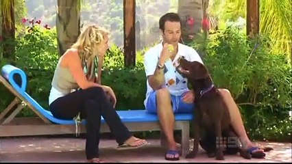 Michael Vartan on Talk to the Animals