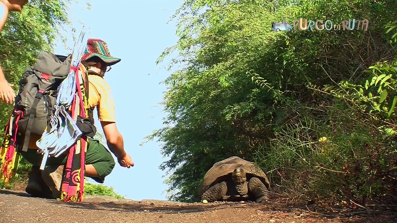 75. Galápagos: Isla Isabela. Tour de los Túneles.