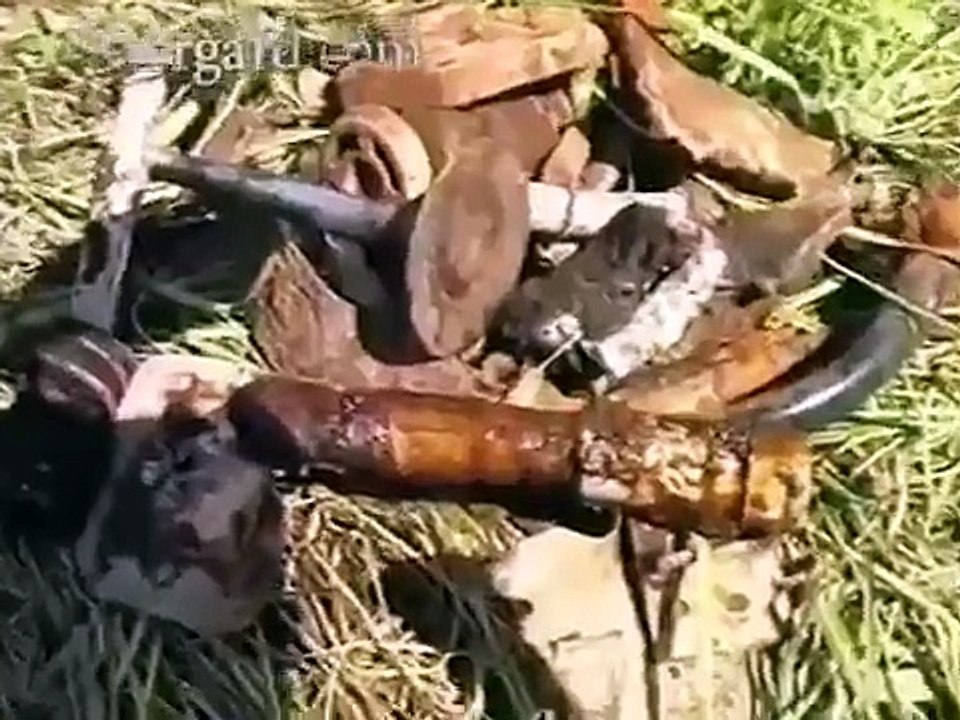 Подъем немецкого самолета Heinkel Не 111 и контейнера / Search German aircraft Heinkel He 111