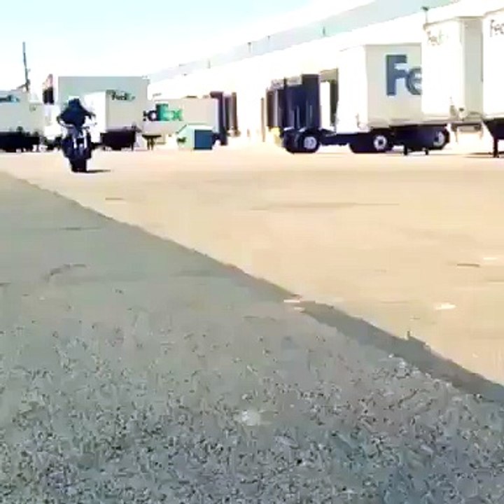 Amazing kangaroo trick stunt