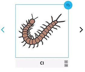 PictoImagenes / Pictosonidos. Aprender los sonidos de los animales - Los insectos -