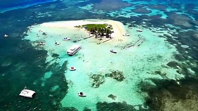 Guadeloupe, sur la route du corail - Les coraux de l'Ilet Gosier