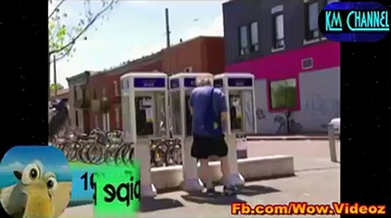 dog car   ammmmmmmazing