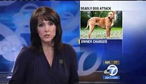 Vicious Pit Bulls Attack and Owner Charged with Murder,   California  Law