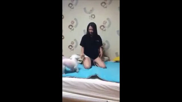 Elle fait la morte devant son chien pensant qu'il va réagir... Réaction complètement inattendue!