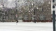 Massive snowflakes in Bratislava - 30. 1. 2015 (Matúš Jaco - Spravodajstvo RTVS)