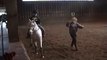 Maddies First Horse Jumping Lesson