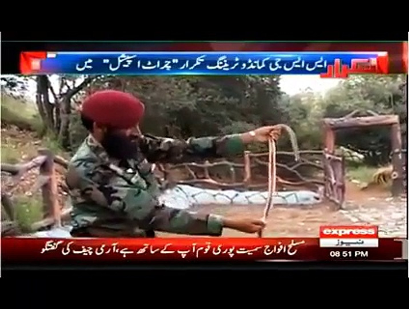 Pakistani Commandos